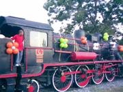 A��l�� Organizasyonu Balon S�sleme �rnekleri