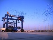 Marina Açılış Organizasyonu - Didim Doğuş Holding Marina Açılış Organizasyonu - Didim