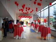 Oto Test Merkezi A��l�� Organizasyonu - �zmir